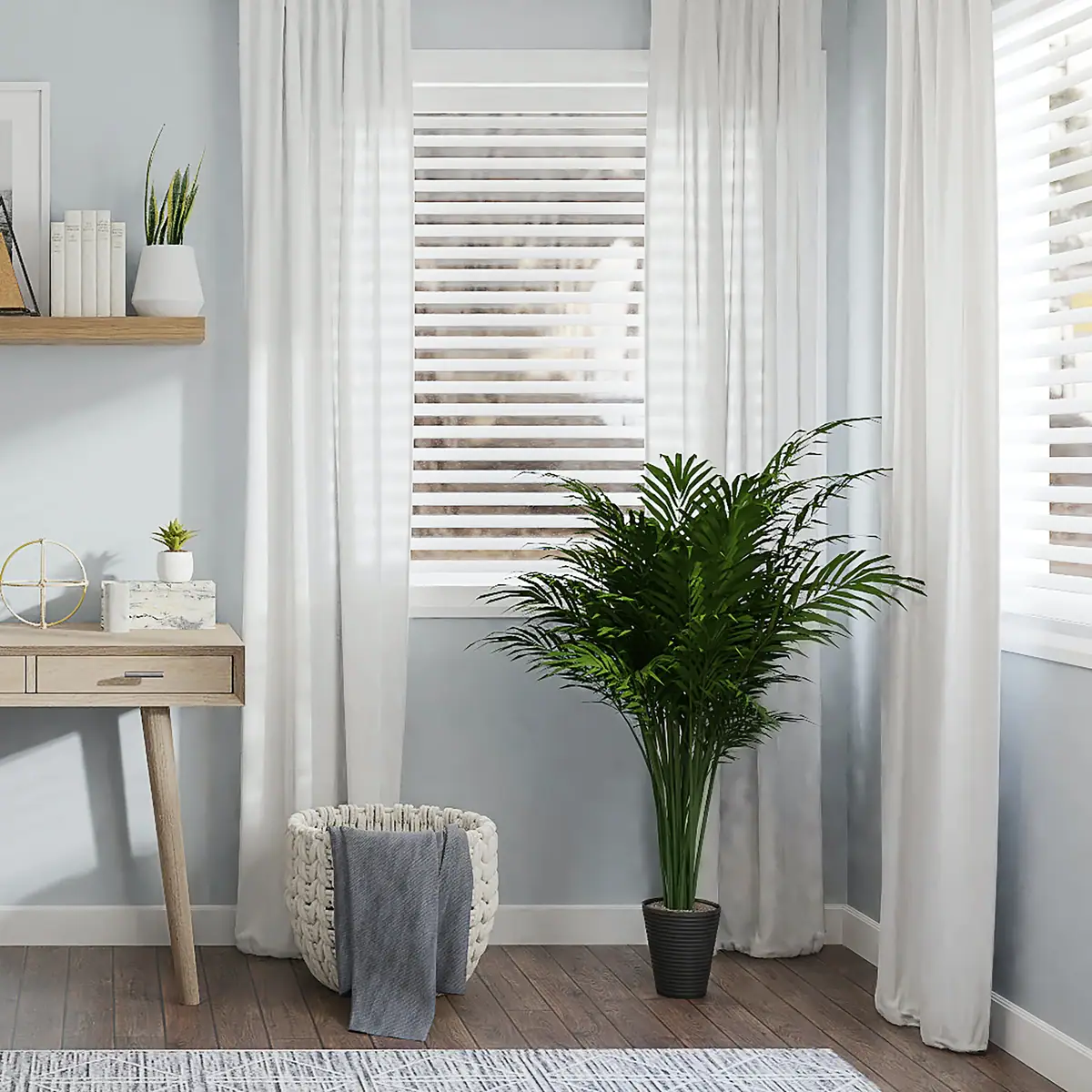 Daylight through tall windows beside a wooden desk and an indoor palm