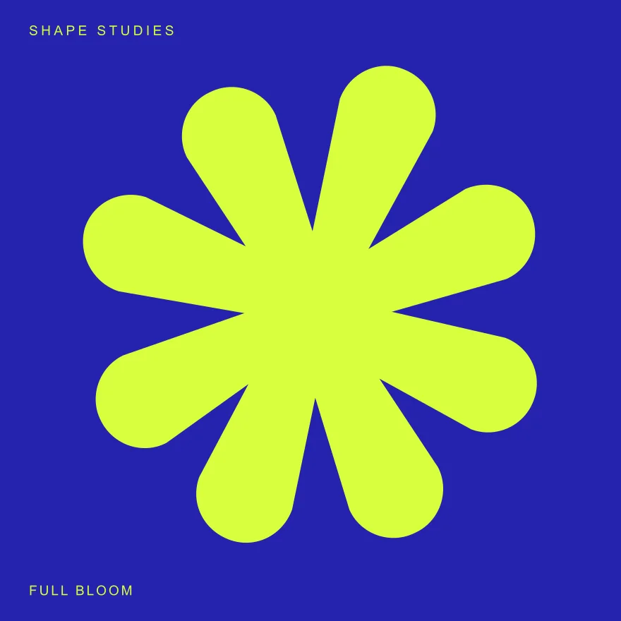 Shape & Colour — original project artwork and design preview
